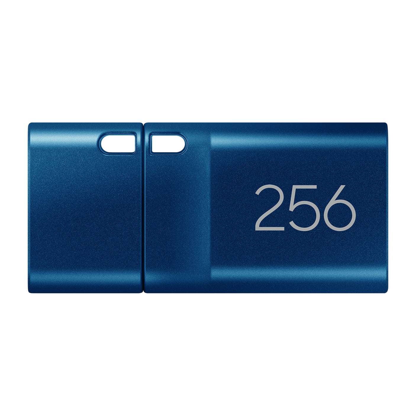 SAMSUNG Type-C USB-C Flash Drive 256GB Blue