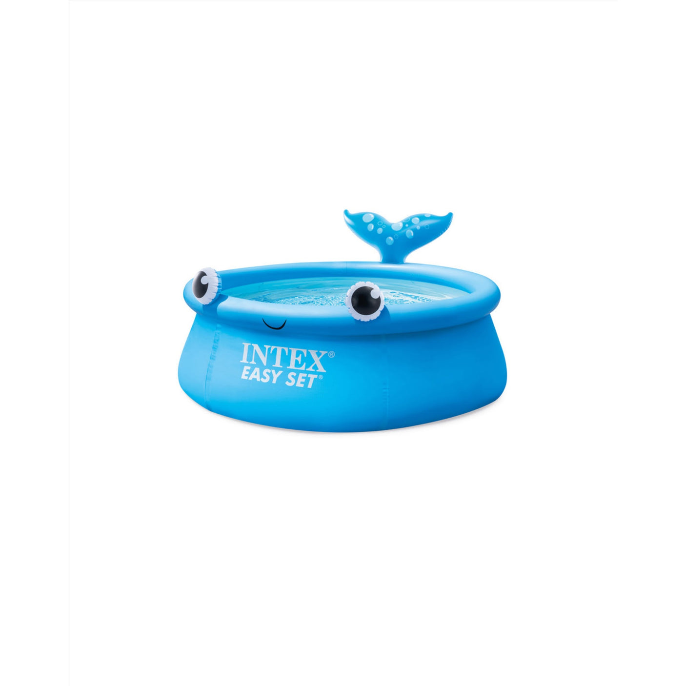 intexcorp_26102EH_3.jpg