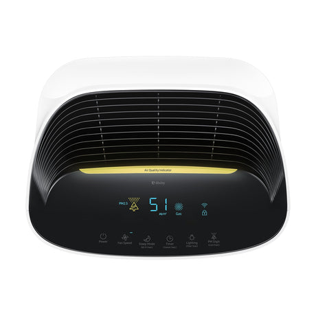 SAMSUNG Air Purifier (AX60R5080WD)