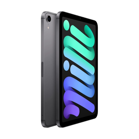 APPLE iPad mini Space Grey (6a generazione) 2021 64GB WiFi