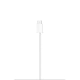 APPLE Alimentatore MagSafe (1 m)