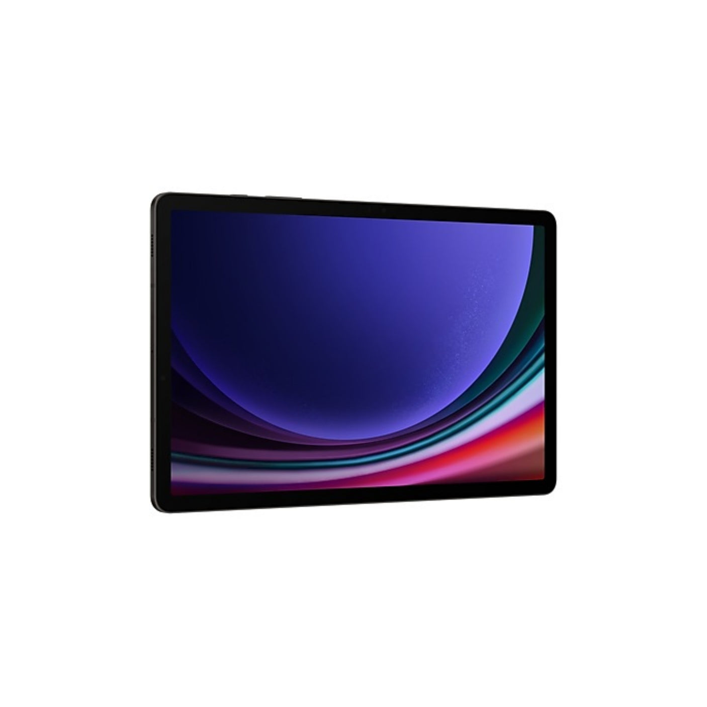 SAMSUNG Galaxy Tab S9 (Wi-Fi) Graphite 256 GB