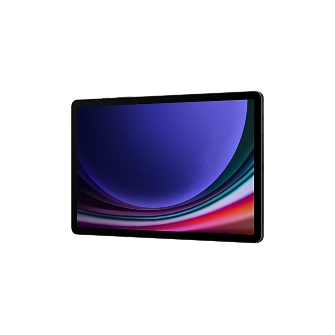 SAMSUNG Galaxy Tab S9 (Wi-Fi) Graphite 256 GB