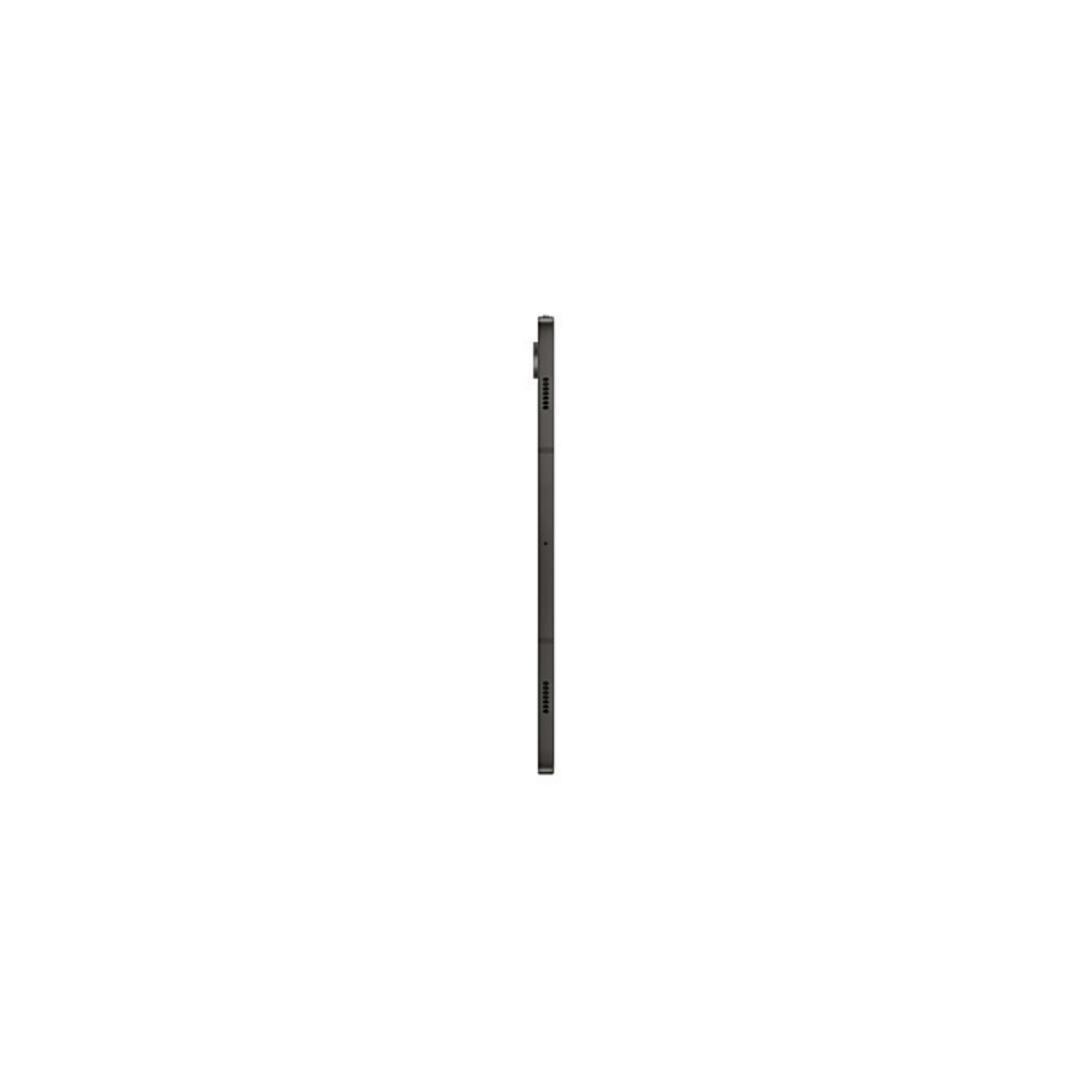 SAMSUNG Galaxy Tab S9 (Wi-Fi) Graphite 256 GB