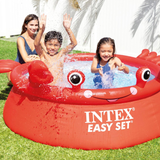 intex_26100np_3