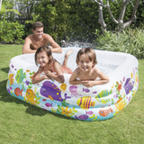 intex_57471np_5