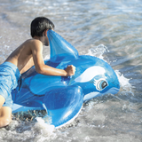 intex_58523np_5