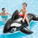 intex_58561np_5