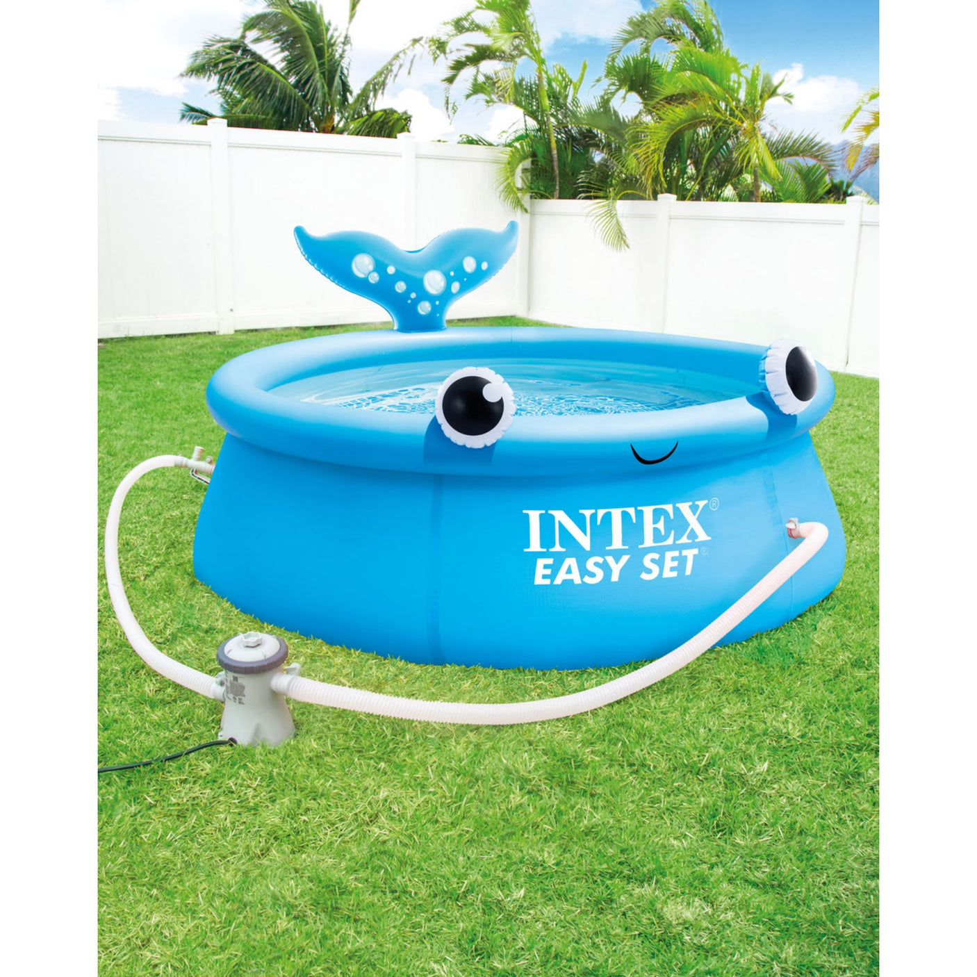 intexcorp_26102EH_0.jpg