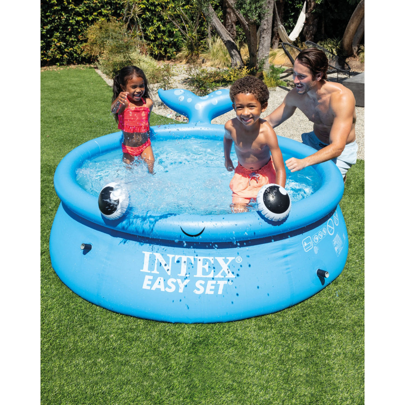 intexcorp_26102EH_1.jpg