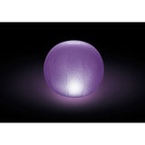 intexcorp_28693E_3.jpg