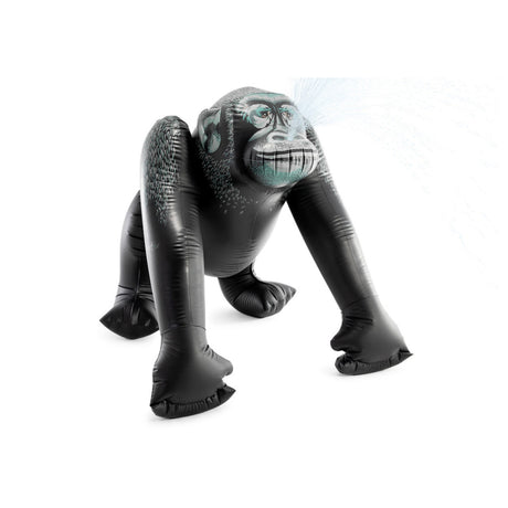 intexcorp_56595EP_1.jpg