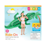 intexcorp_58562EP_4.jpg